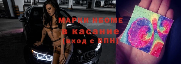 индика Арсеньев