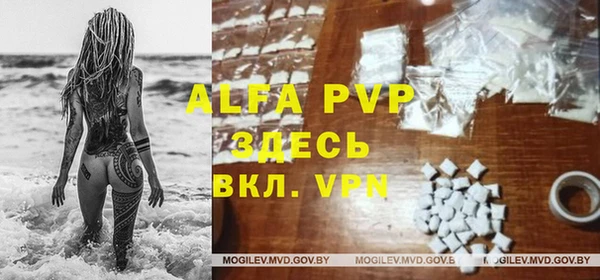 индика Арсеньев