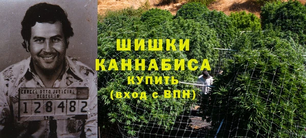 индика Арсеньев