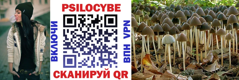 Галлюциногенные грибы Psilocybine cubensis  Усть-Кут 